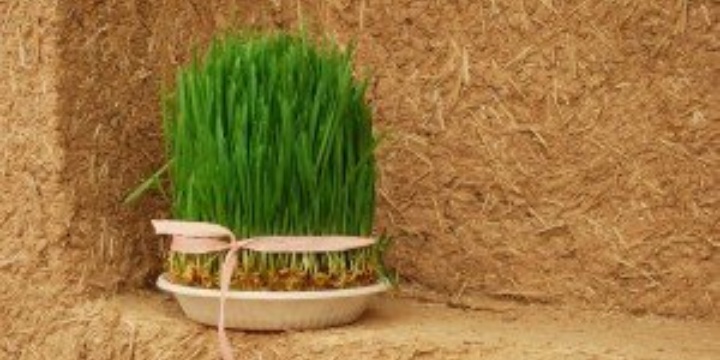 Convegno tecnico sui materiali rinnovabili fatti in Sardegna a km 0